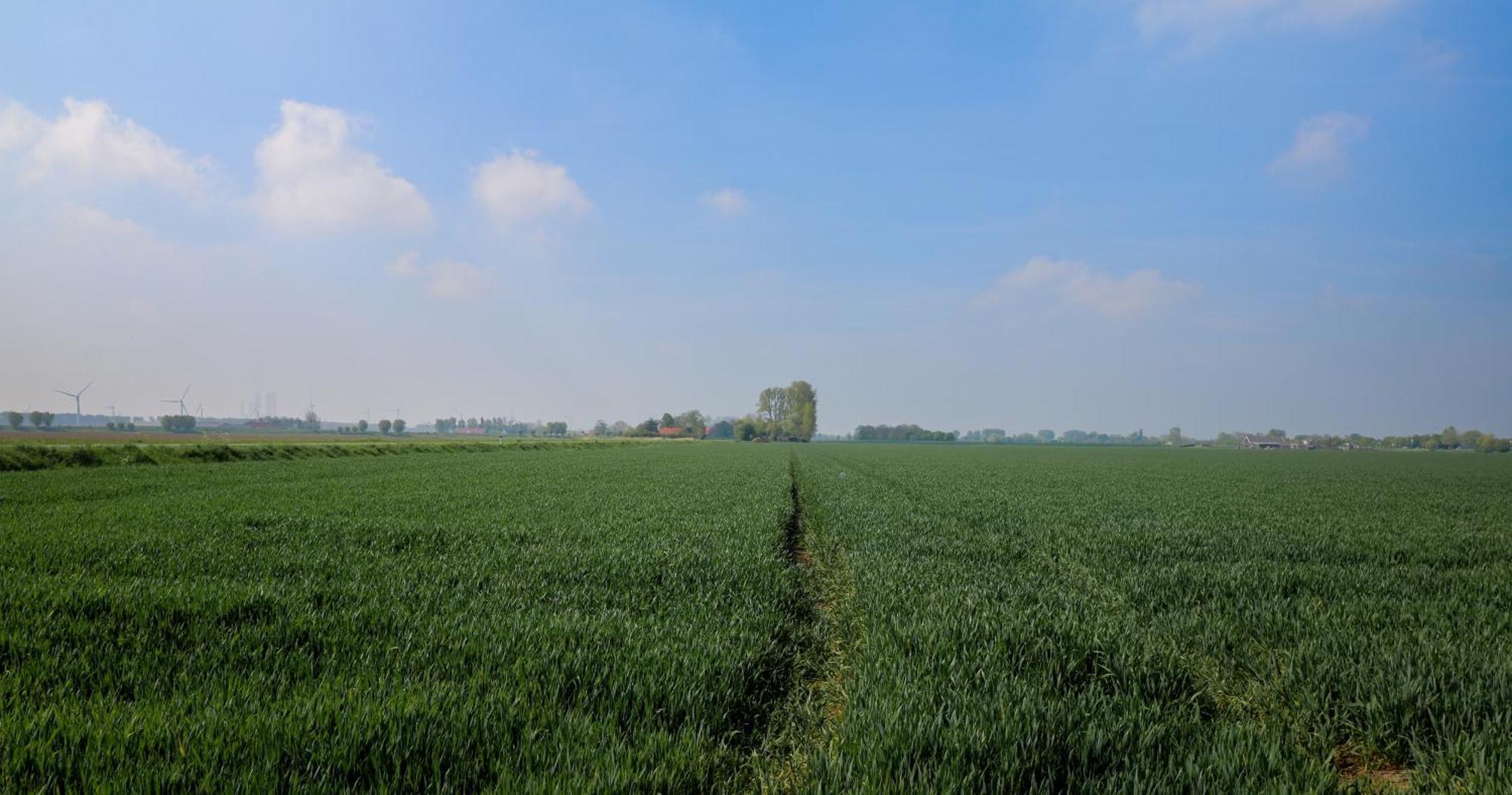 Hof Nieuwerkerk Chalet 2 Arnemuiden Bagian luar foto